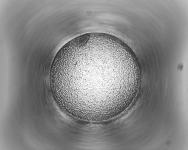 X0000093621513200710291215