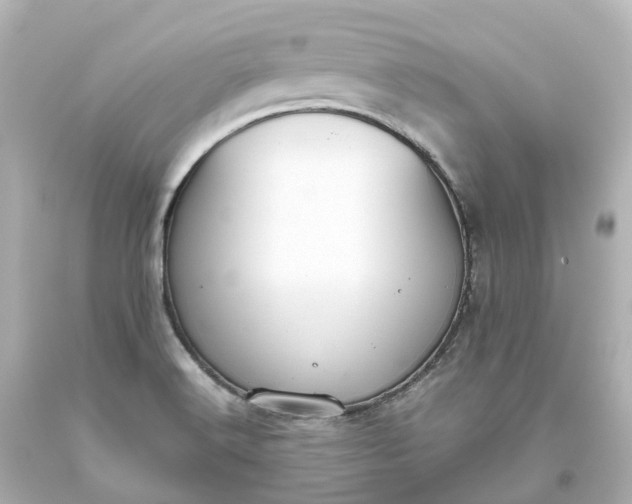 X0000093621516200710291215
