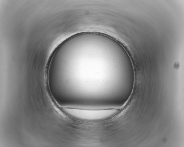 X0000093621517200710291215
