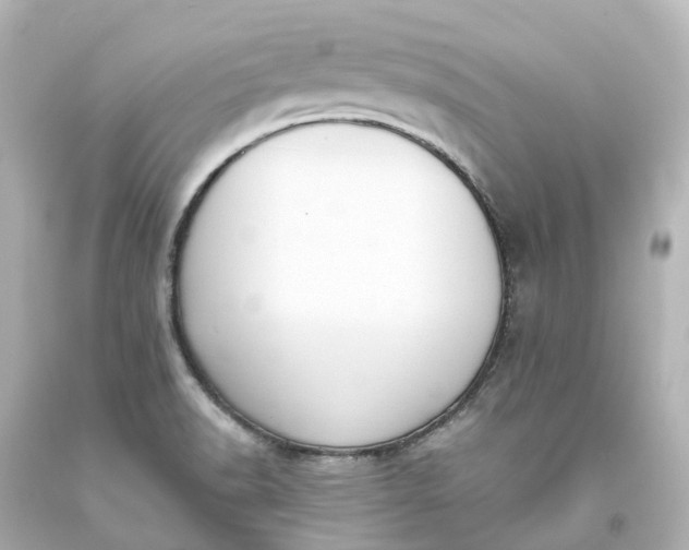X0000093621518200710291215
