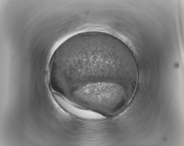 X0000093621520200710291215