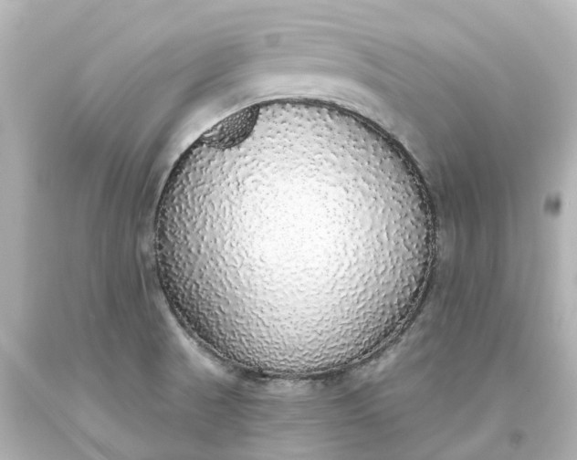 X0000093621521200710291215