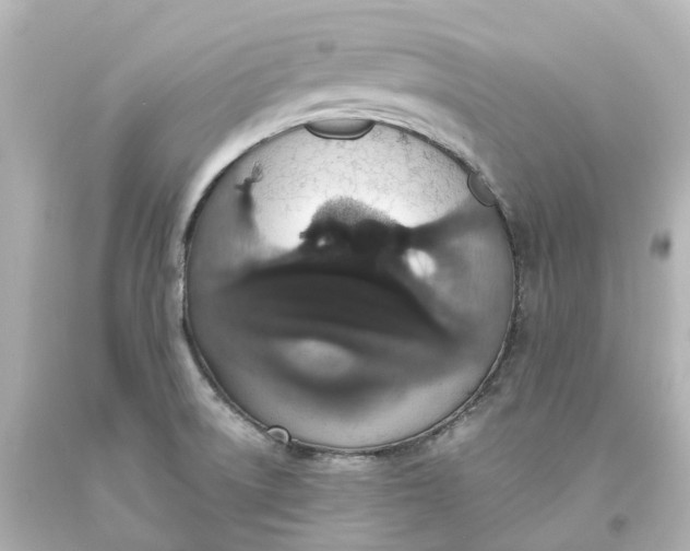 X0000093621522200710291215