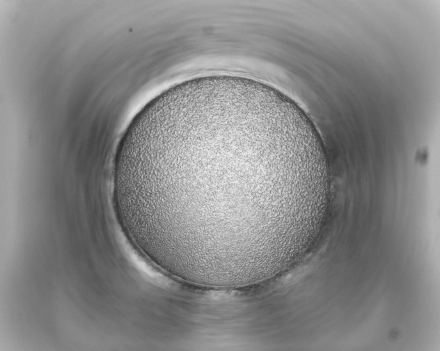 X0000093621523200710291215