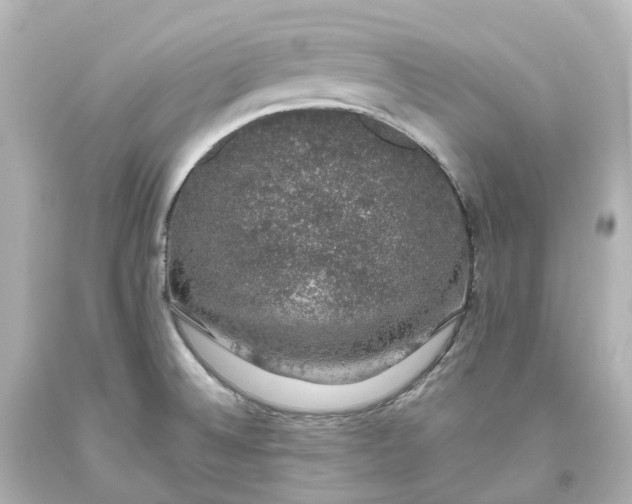 X0000093621524200710291215