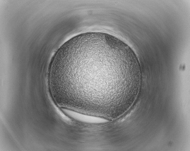 X0000093621525200710291215