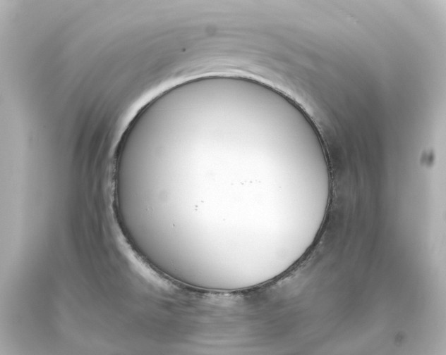 X0000093621526200710291215