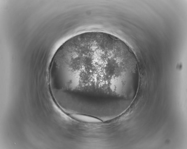 X0000093621527200710291215