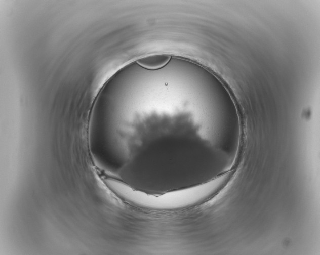 X0000093621529200710291215