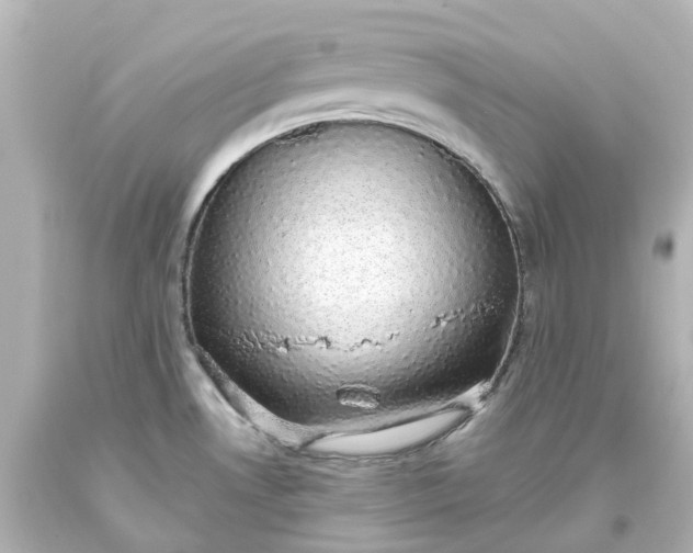 X0000093621530200710291215
