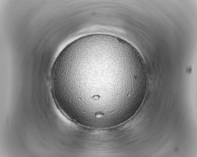 X0000093621531200710291215