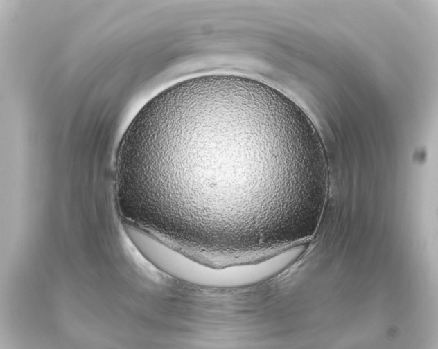 X0000093621532200710291215