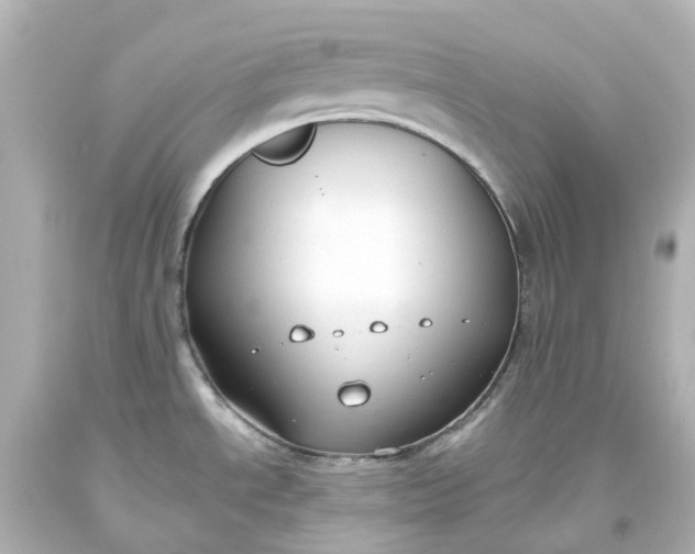 X0000093621534200710291215
