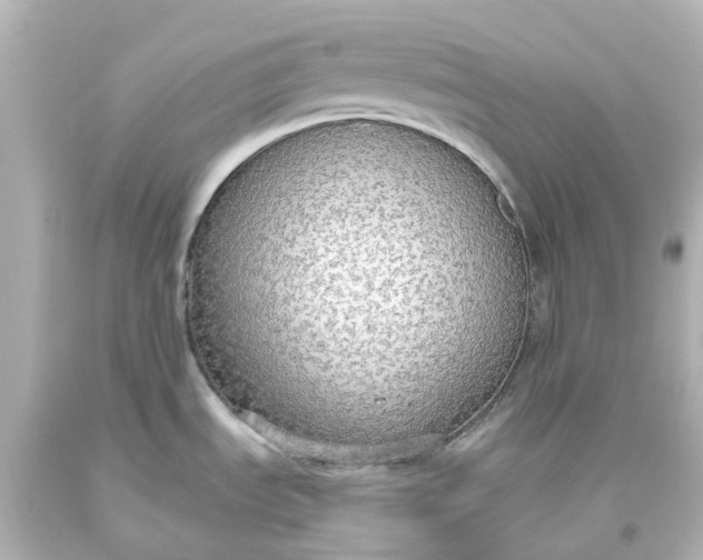 X0000093621535200710291215