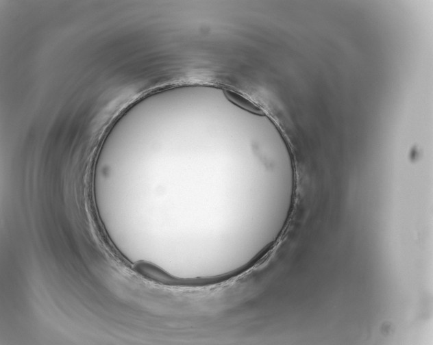 X0000093620001200711051248