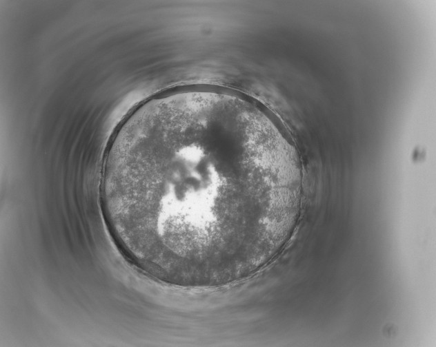 X0000093620003200711051248