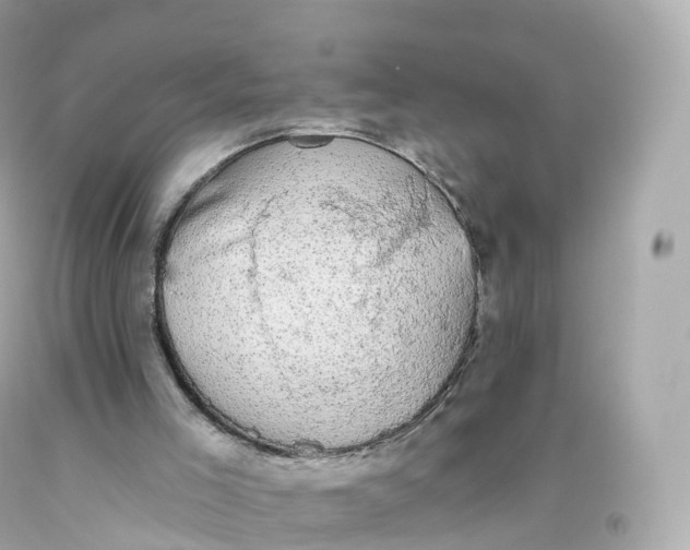 X0000093620005200711051248