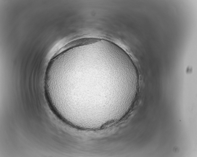 X0000093620007200711051248