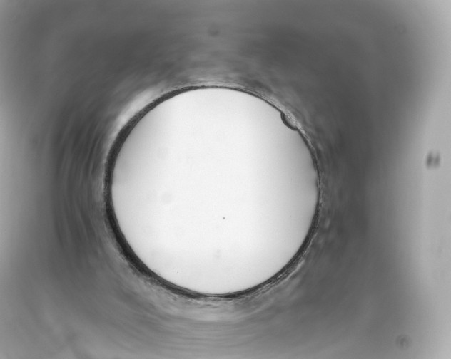 X0000093620008200711051248