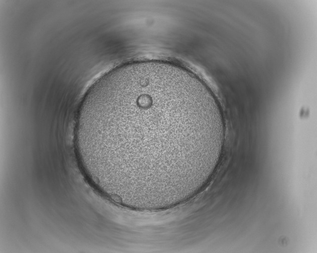 X0000093620010200711051248