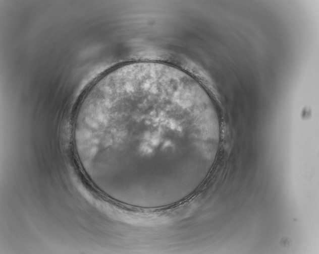 X0000093620012200711051248