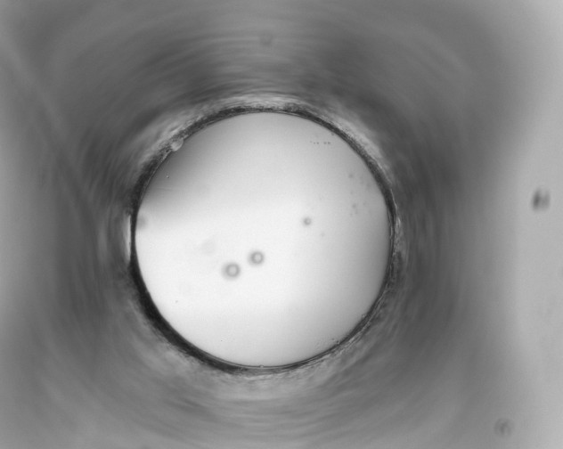 X0000093620013200711051248