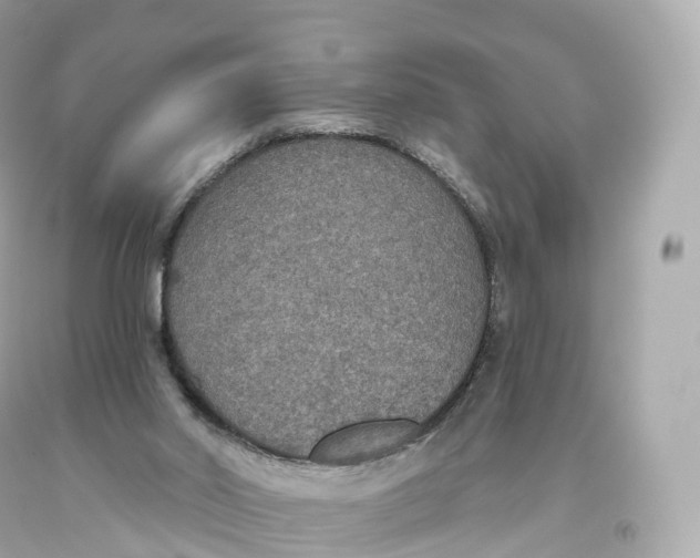 X0000093620014200711051248