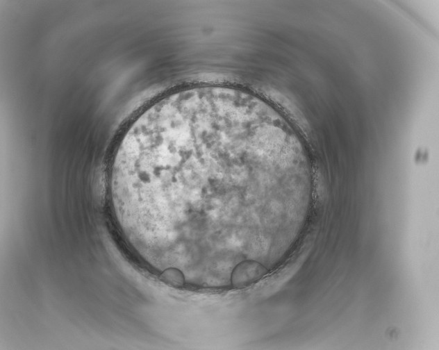 X0000093620016200711051248