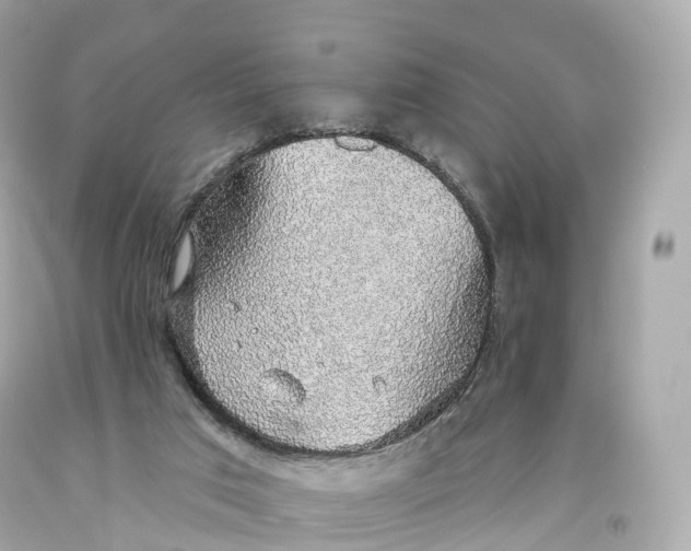 X0000093620017200711051248