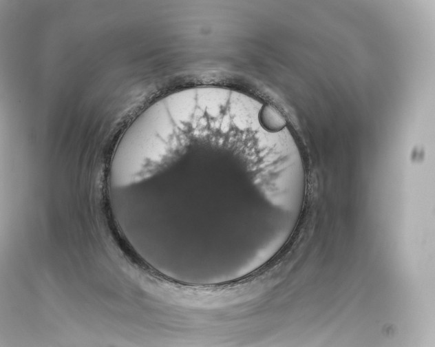 X0000093620018200711051248