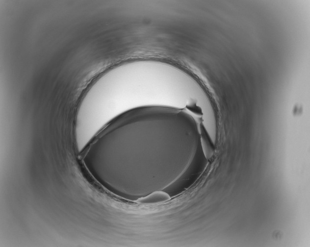 X0000093620019200711051248