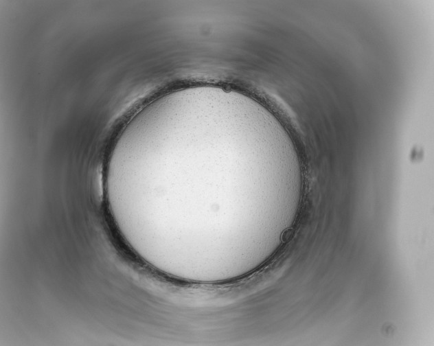 X0000093620020200711051248