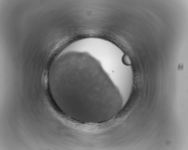 X0000093620024200711051248