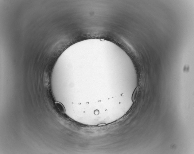 X0000093620025200711051248