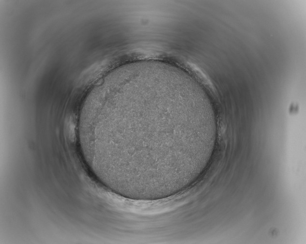 X0000093620026200711051248