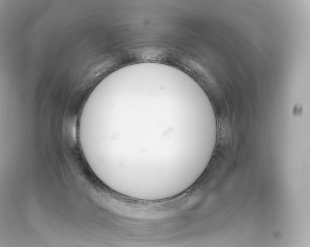 X0000093620028200711051248