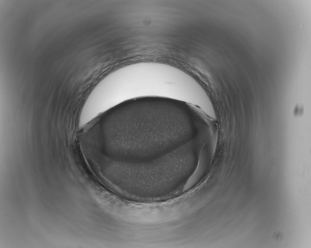 X0000093620029200711051248