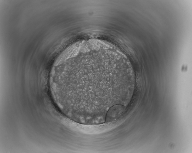 X0000093620030200711051248