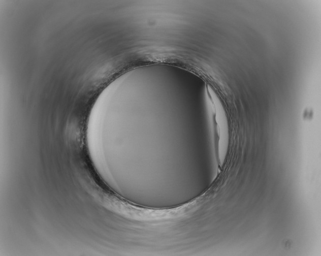 X0000093620031200711051248