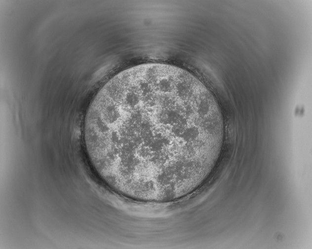 X0000093620032200711051248