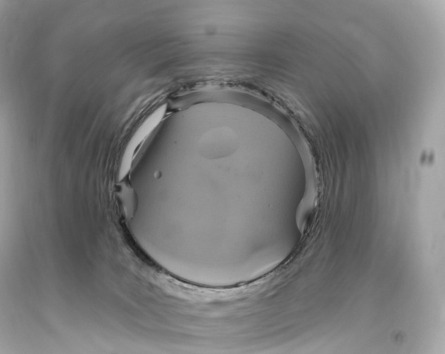 X0000093620035200711051248