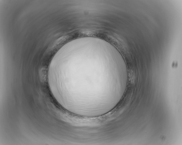 X0000093620036200711051248