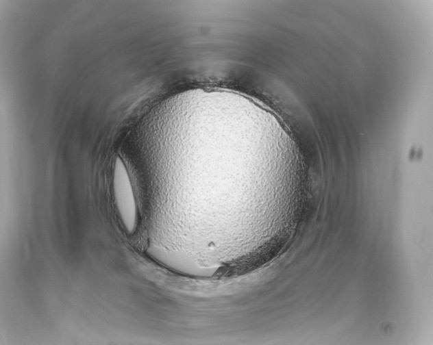 X0000093620037200711051248