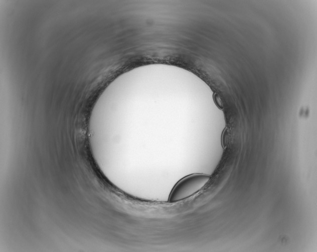 X0000093620040200711051248