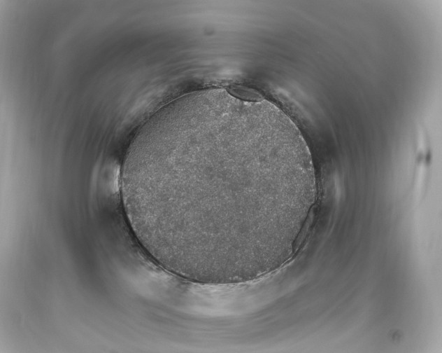 X0000093620041200711051248