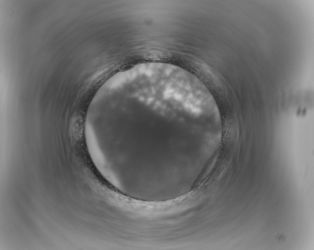 X0000093620043200711051248