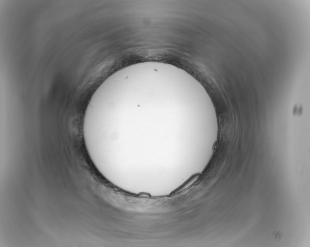 X0000093620044200711051248