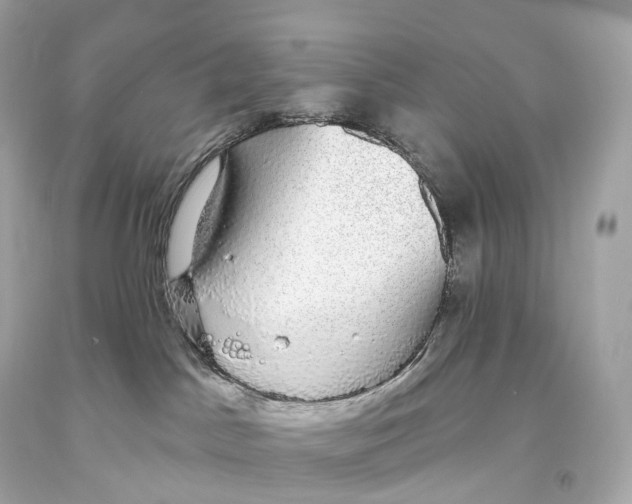 X0000093620045200711051248