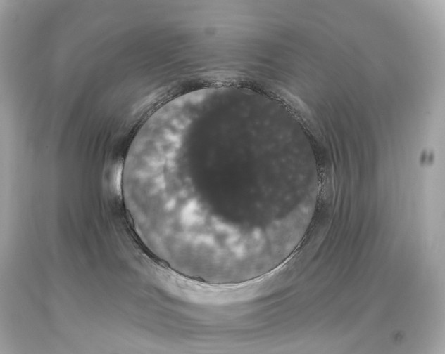 X0000093620047200711051248