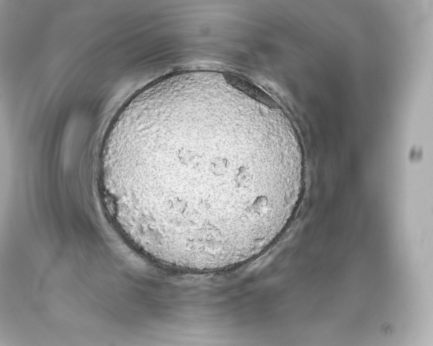 X0000093620049200711051247